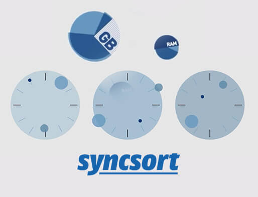 Syncsort Video Production