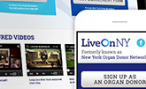 NY Organ Donor Network Page 2 Thumbnail